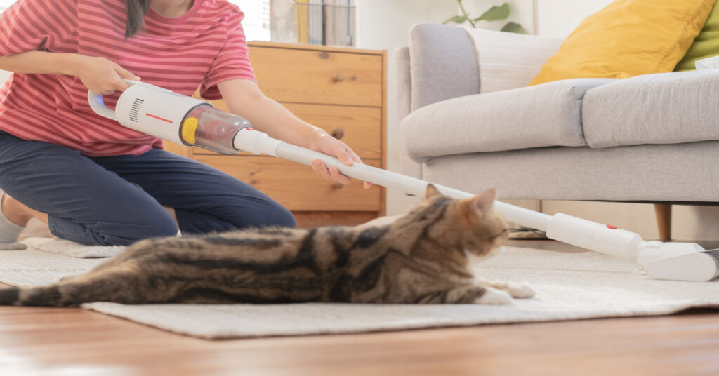 cordless vacuum